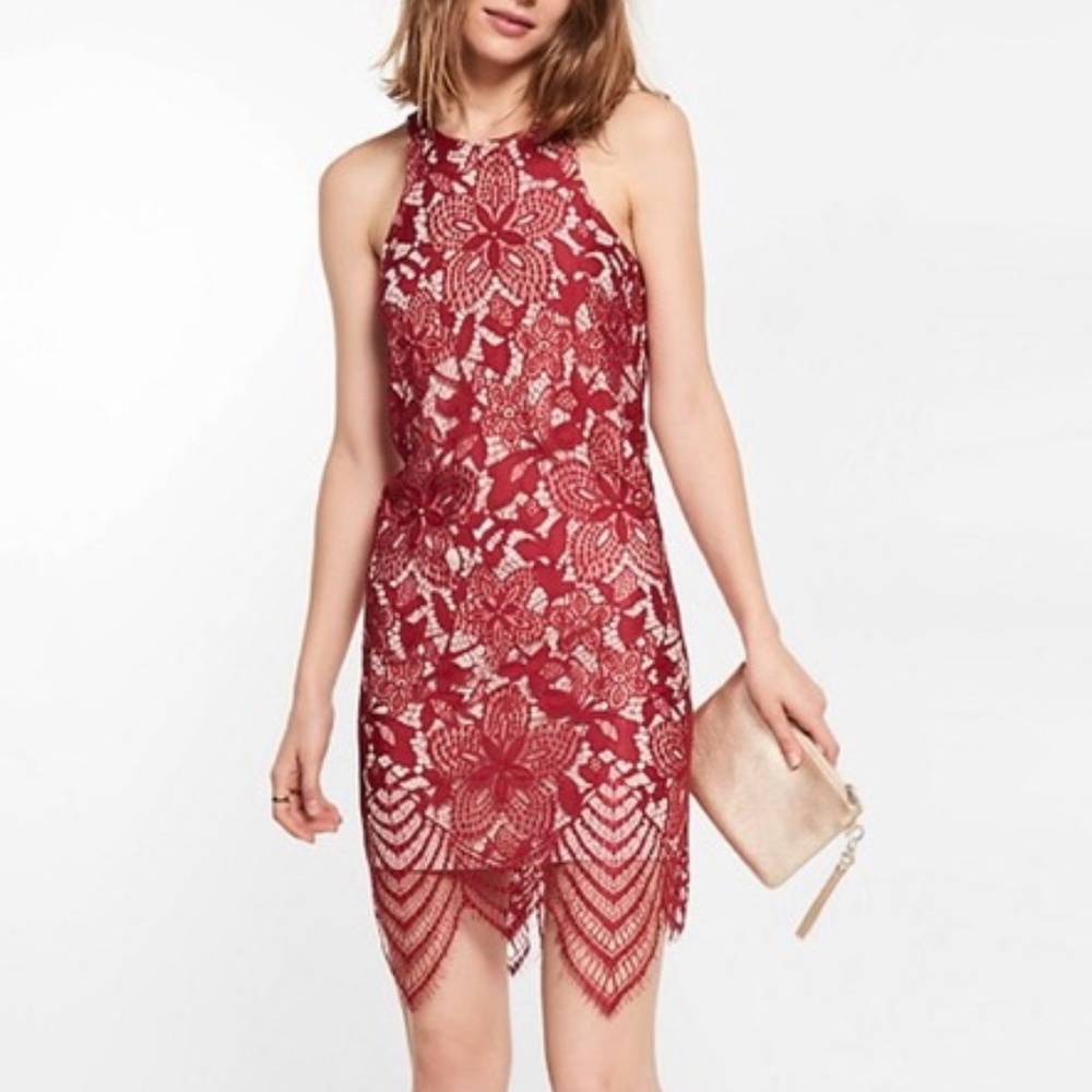Express lace dress